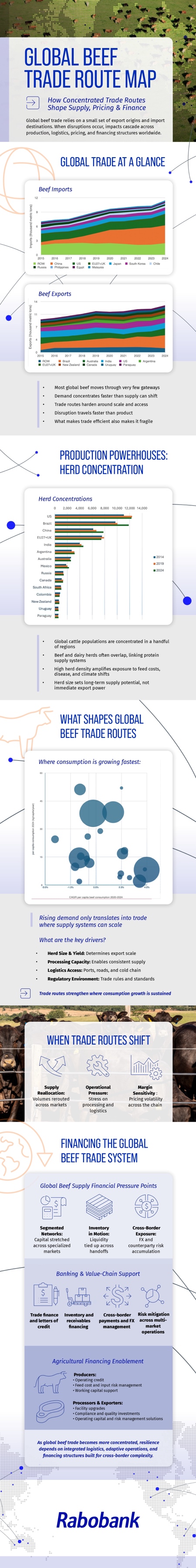 Infographic mapping global beef trade routes from producers to markets