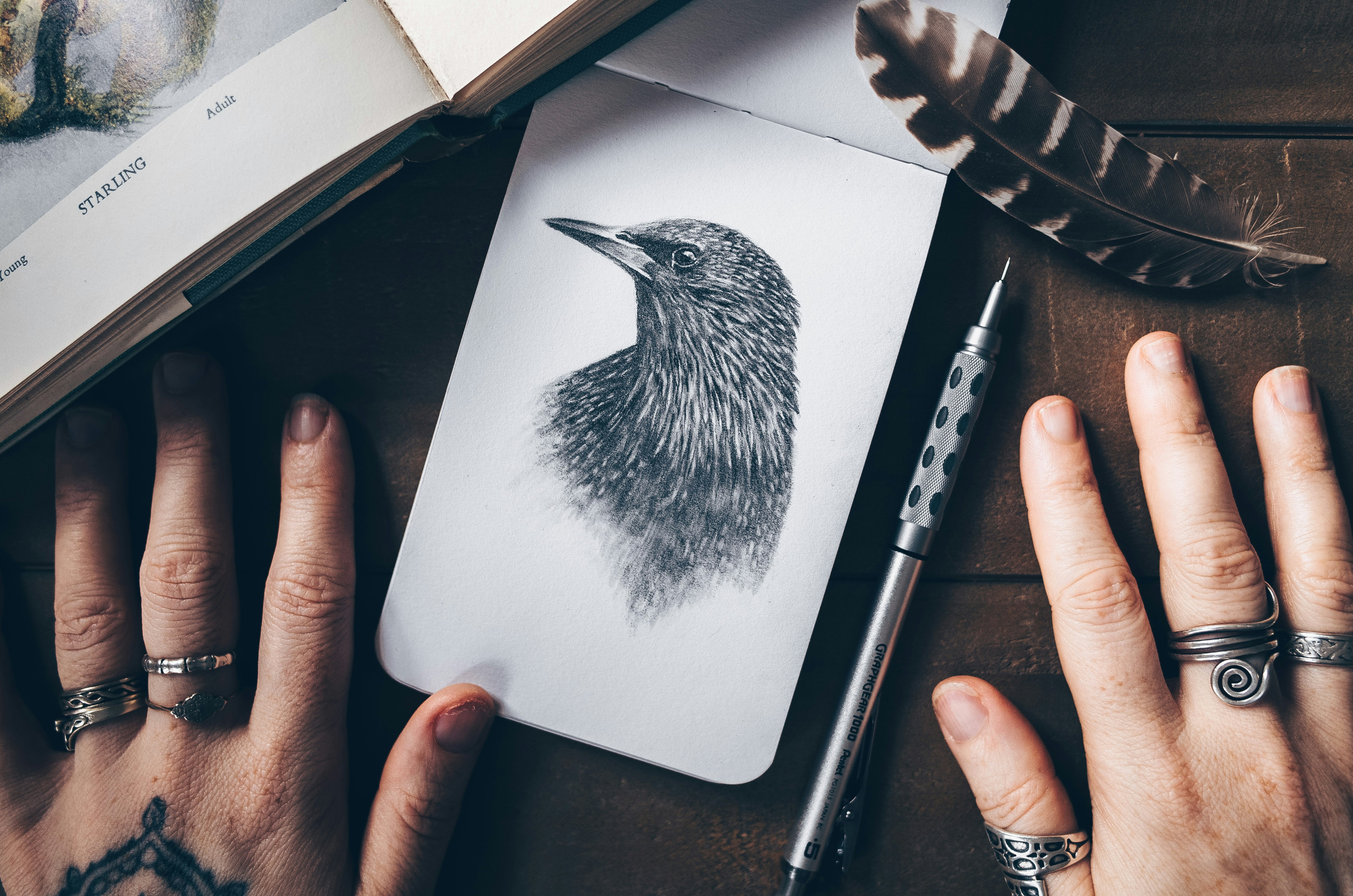 アナログイラスト・絵画の写真の撮り方|スマホで綺麗に撮影~加工まで基本ガイド