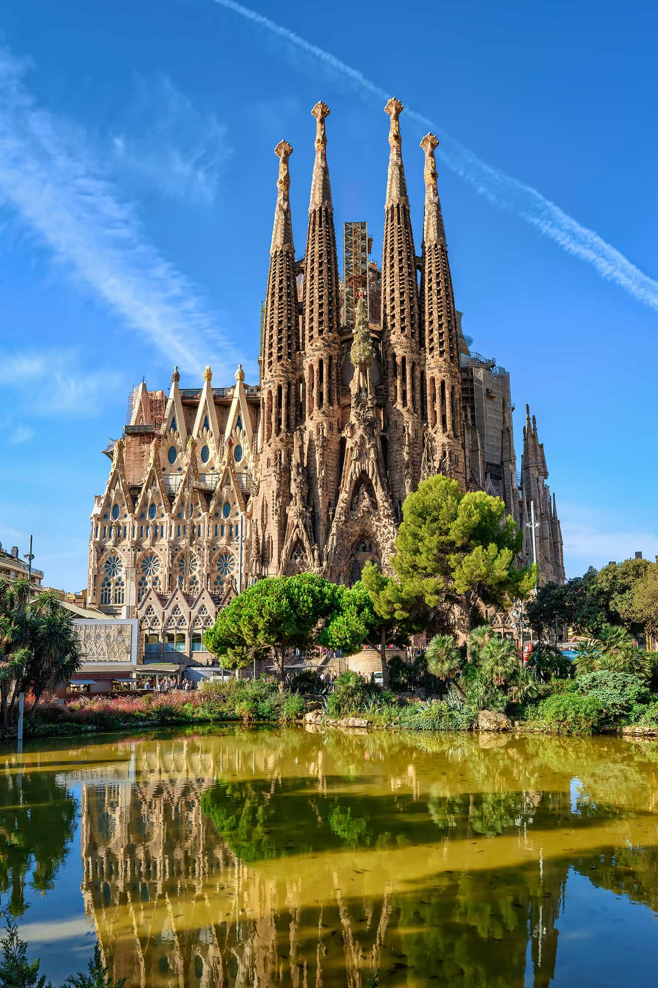 MANGA BARCELONA
