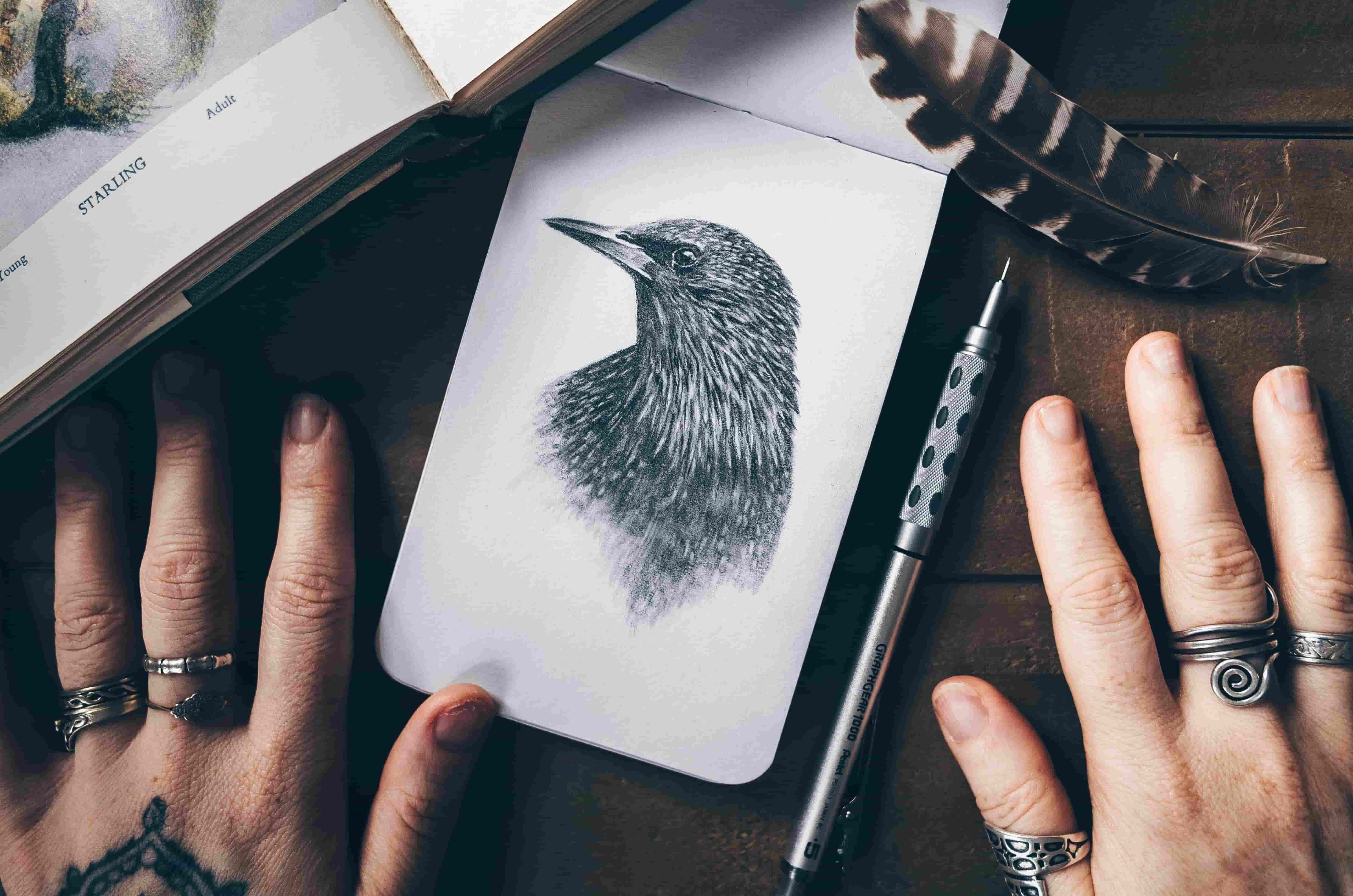 アナログイラスト・絵画の写真の撮り方｜スマホで綺麗に撮影～加工まで基本ガイド