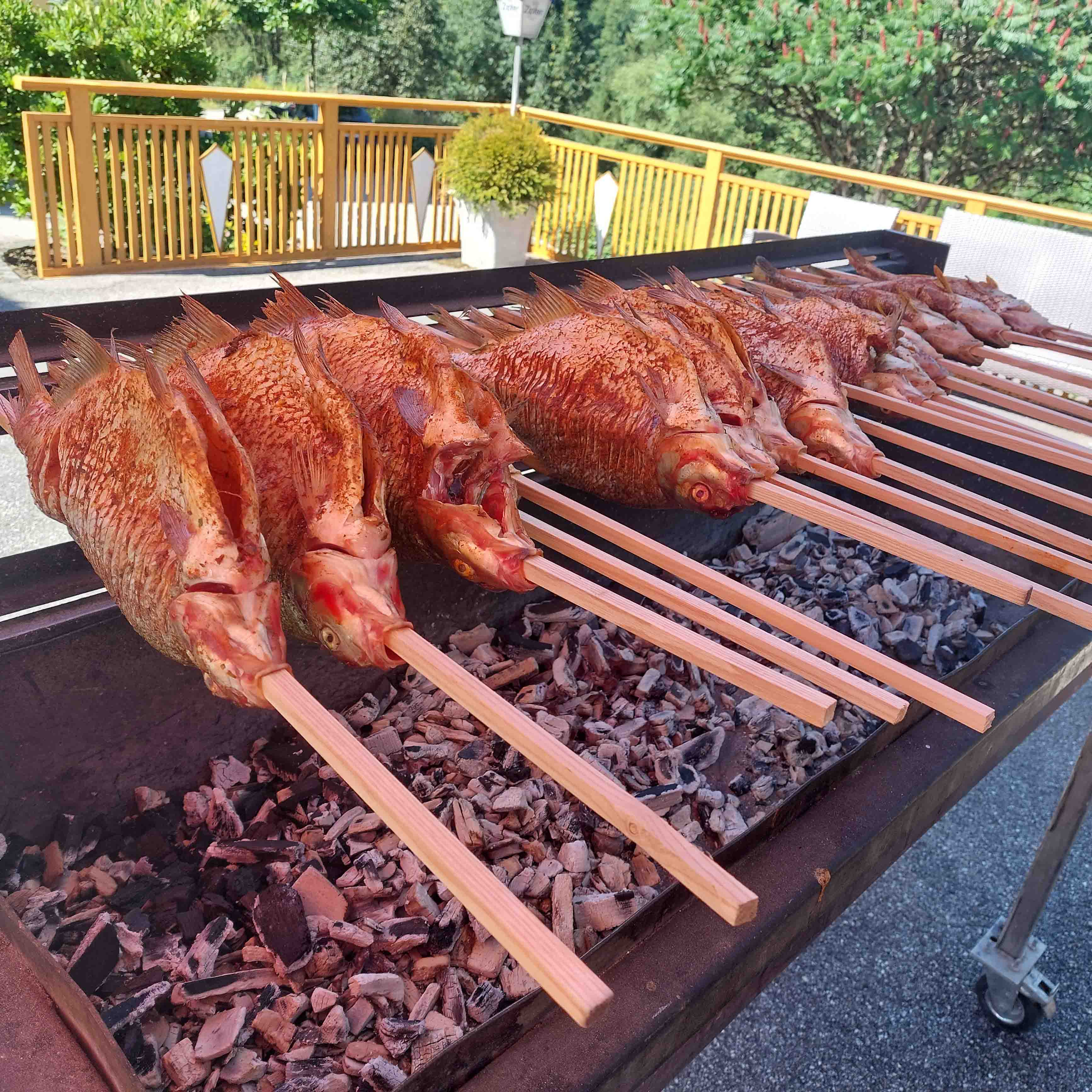 Steckerlfische über dem Grill