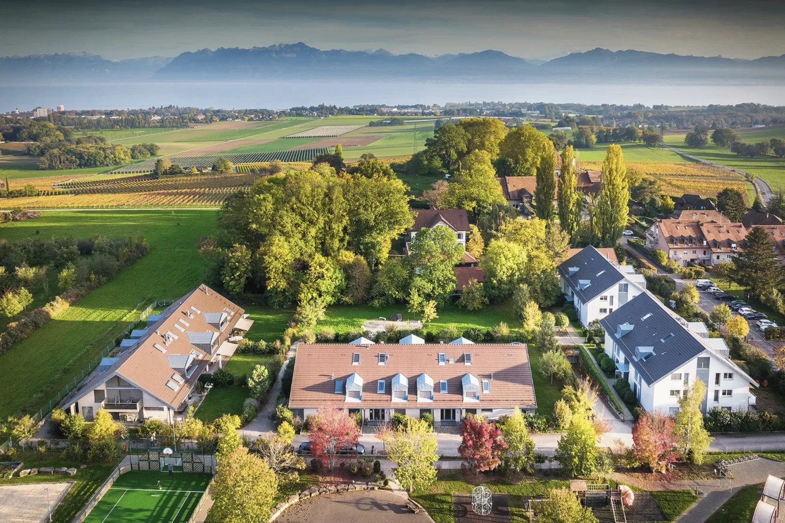 Vue aérienne de Denens : immeubles résidentiels entre vignes et Léman