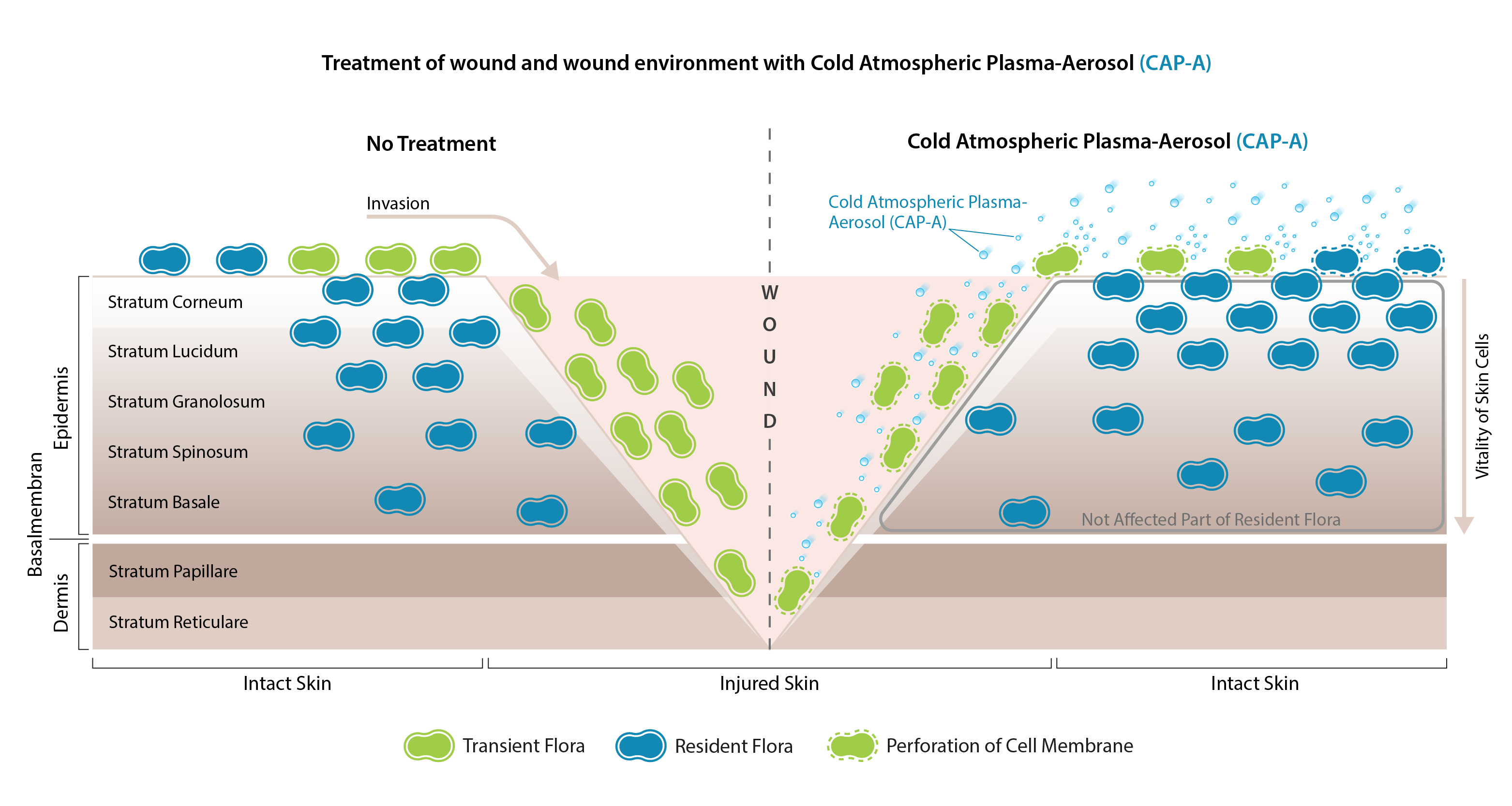 Treatment of wound and wound environment with Cold Atmospheric Plasma-Aerosol (CAP-A)