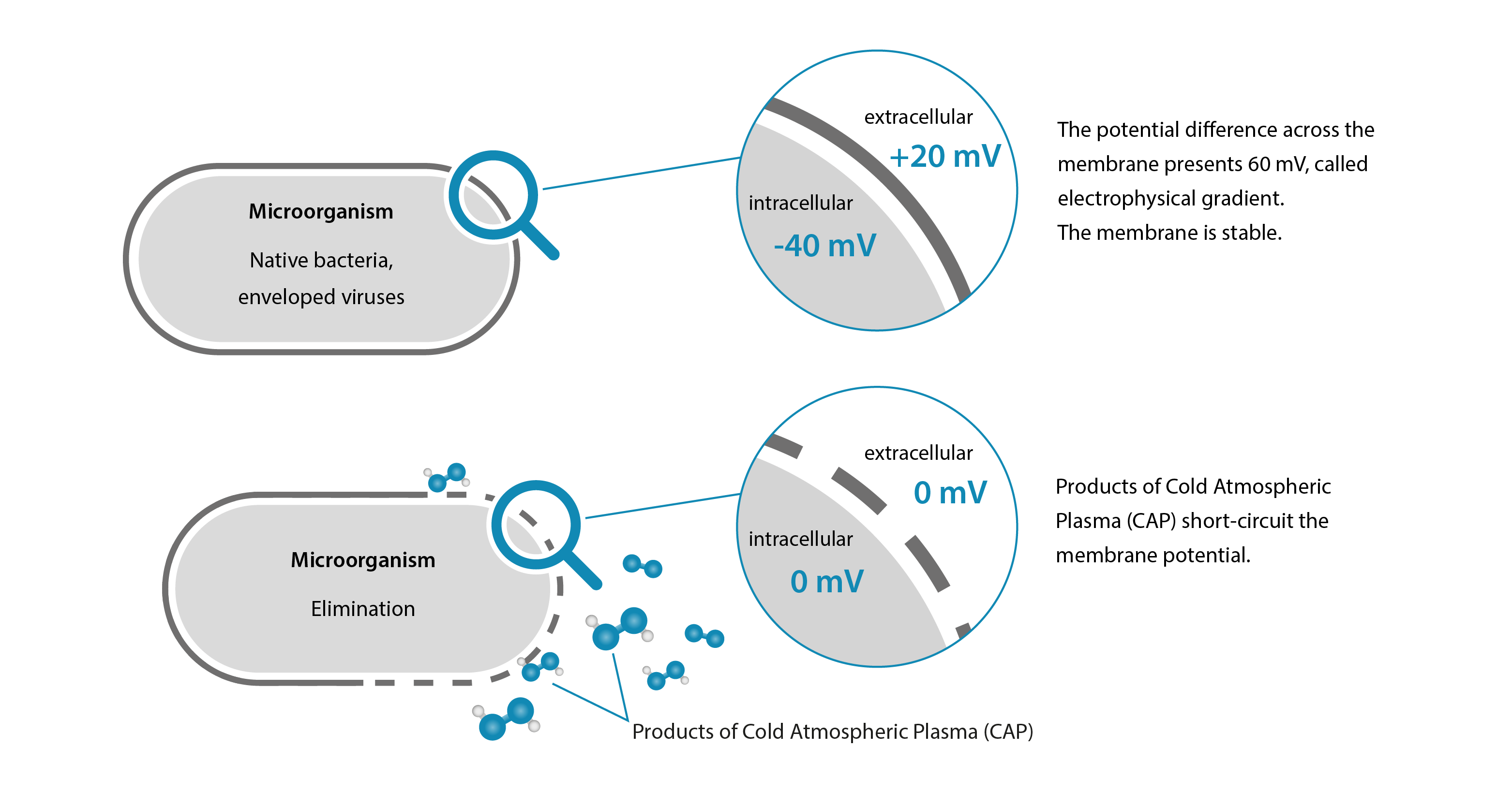 Erzeugung von Kaltplasma.Cold Atmospheric Plasma / CAP