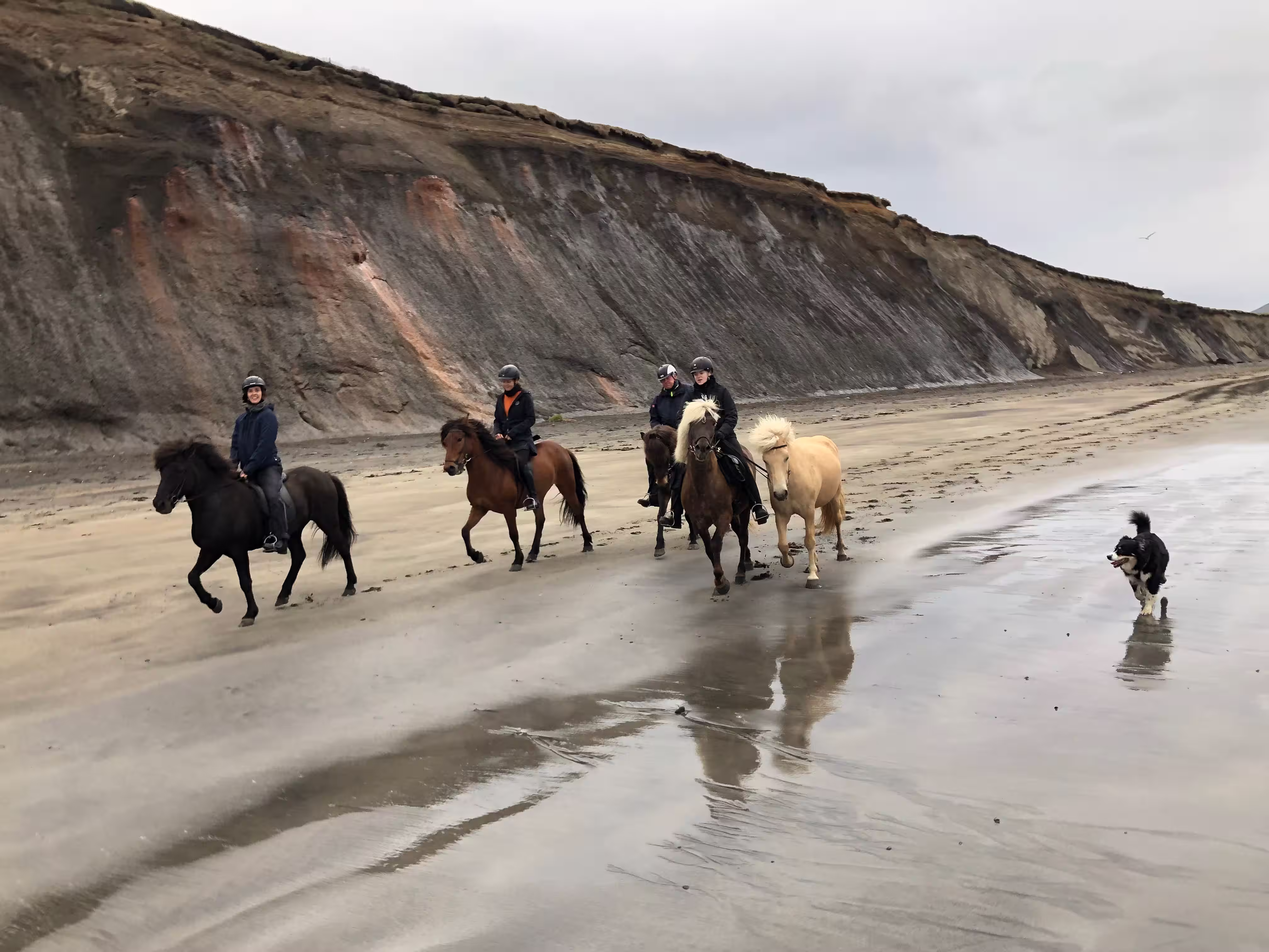 Waterfalls, Glaciers & Black Beach ride