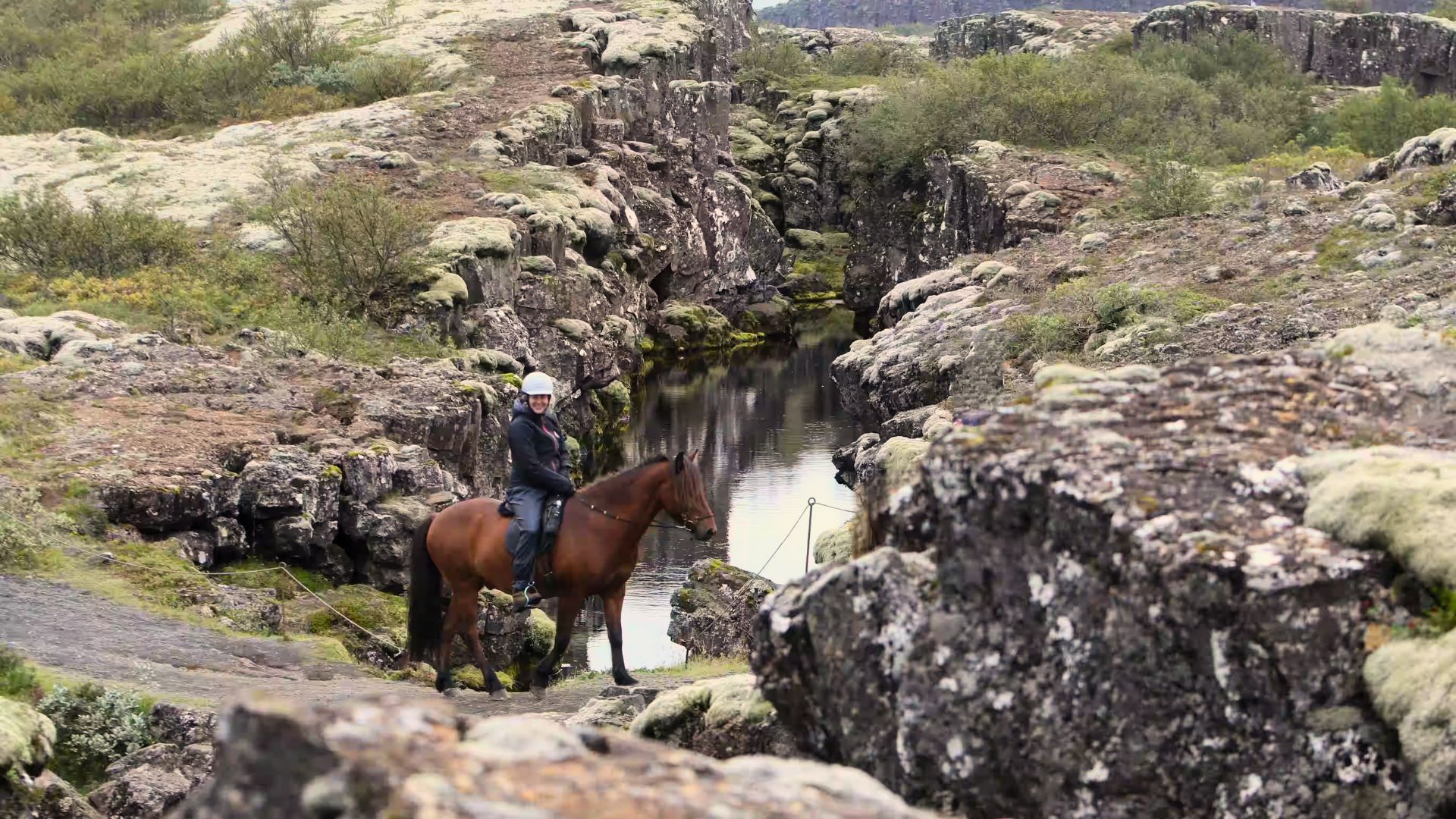 The Golden Circle Ride