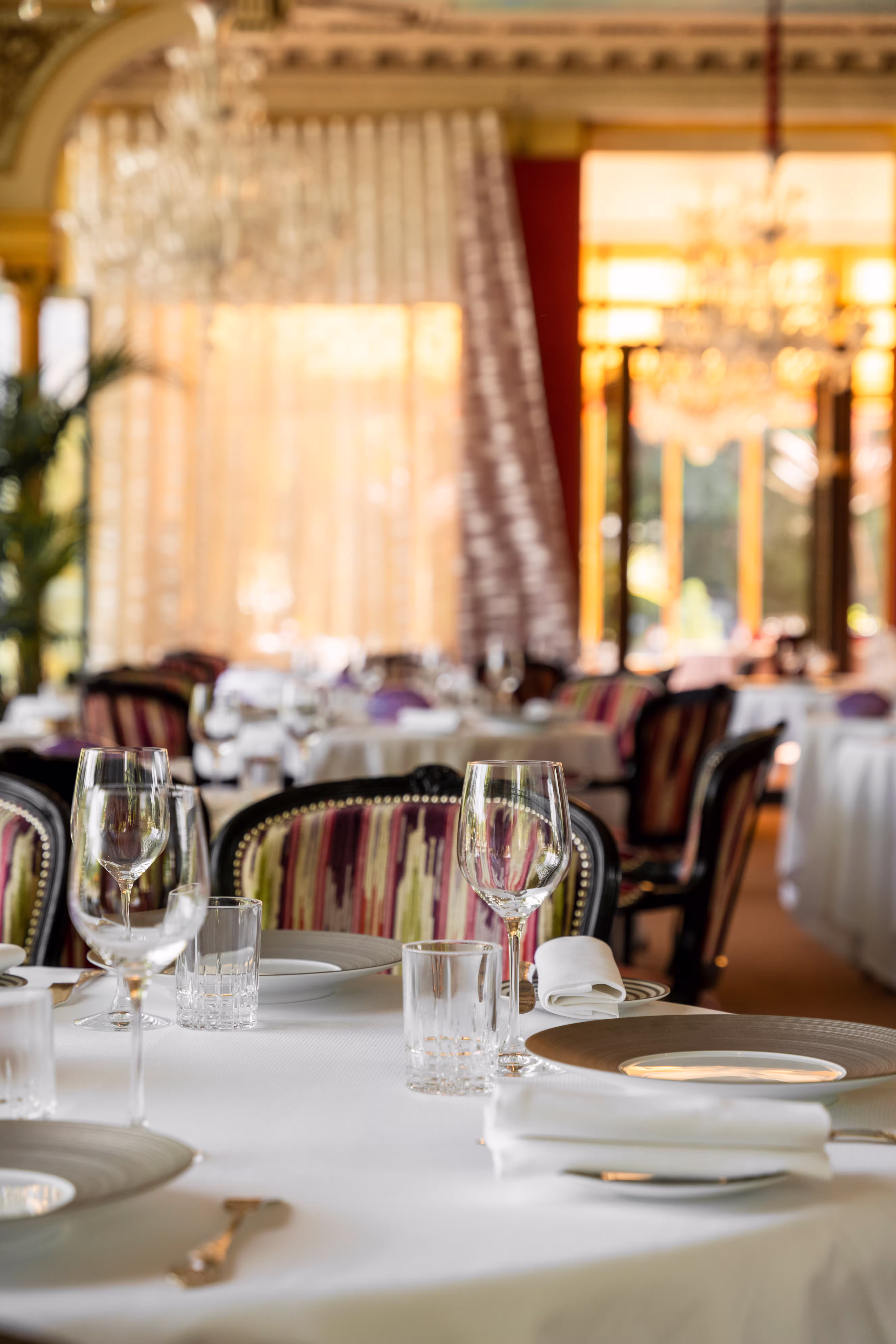 Michelin-Star Cuisine