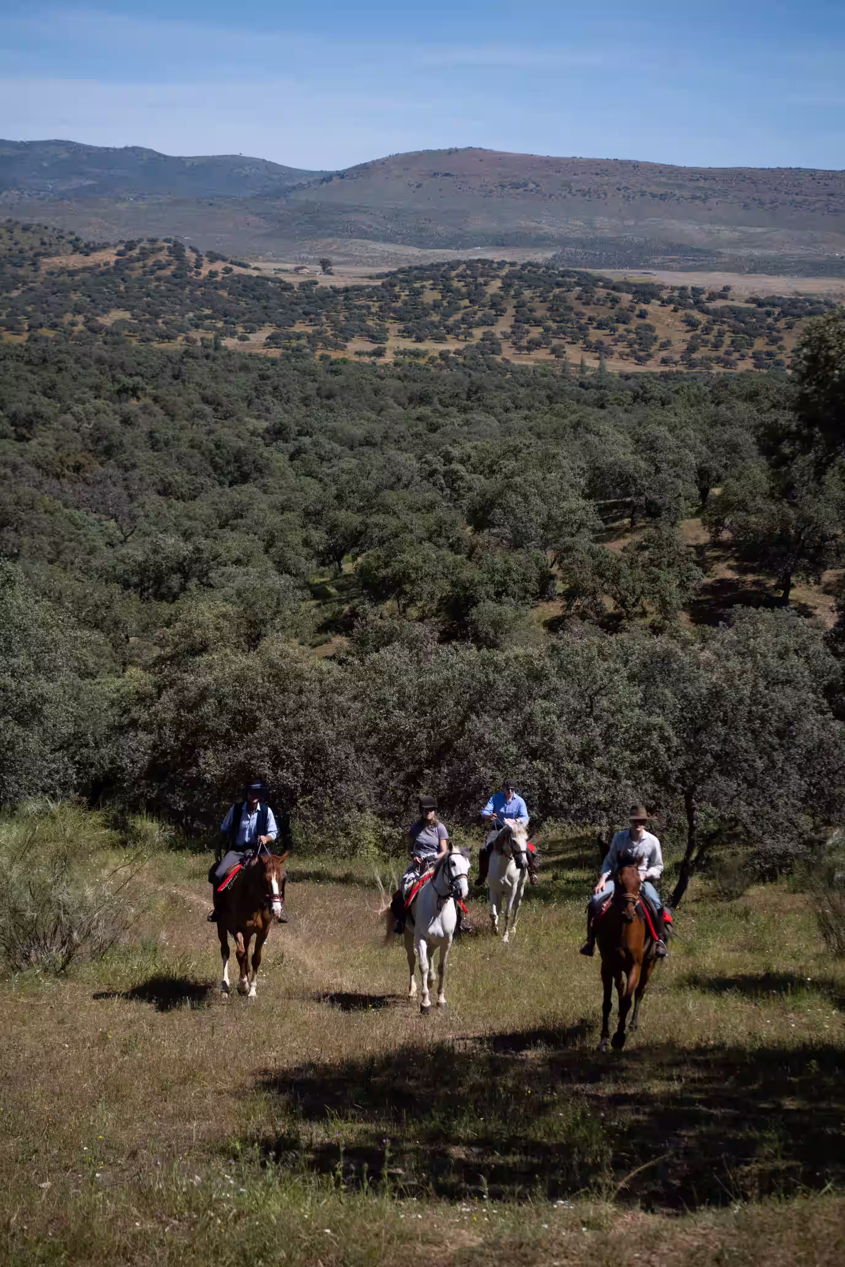 Deep into Andalusia’s nature - 22km/5h30 ride