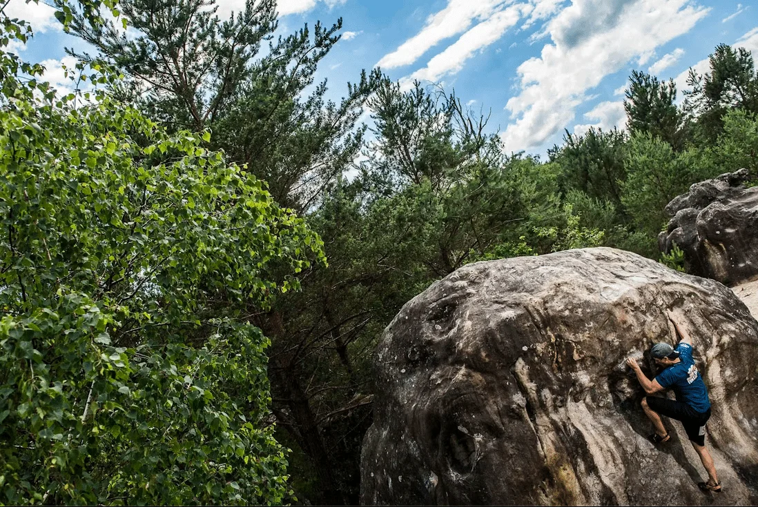 Rock-climbing in the forest