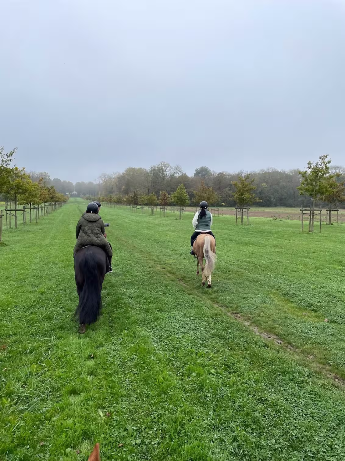 Horseback Riding in France: Where Every Hoofbeat Tells a Story