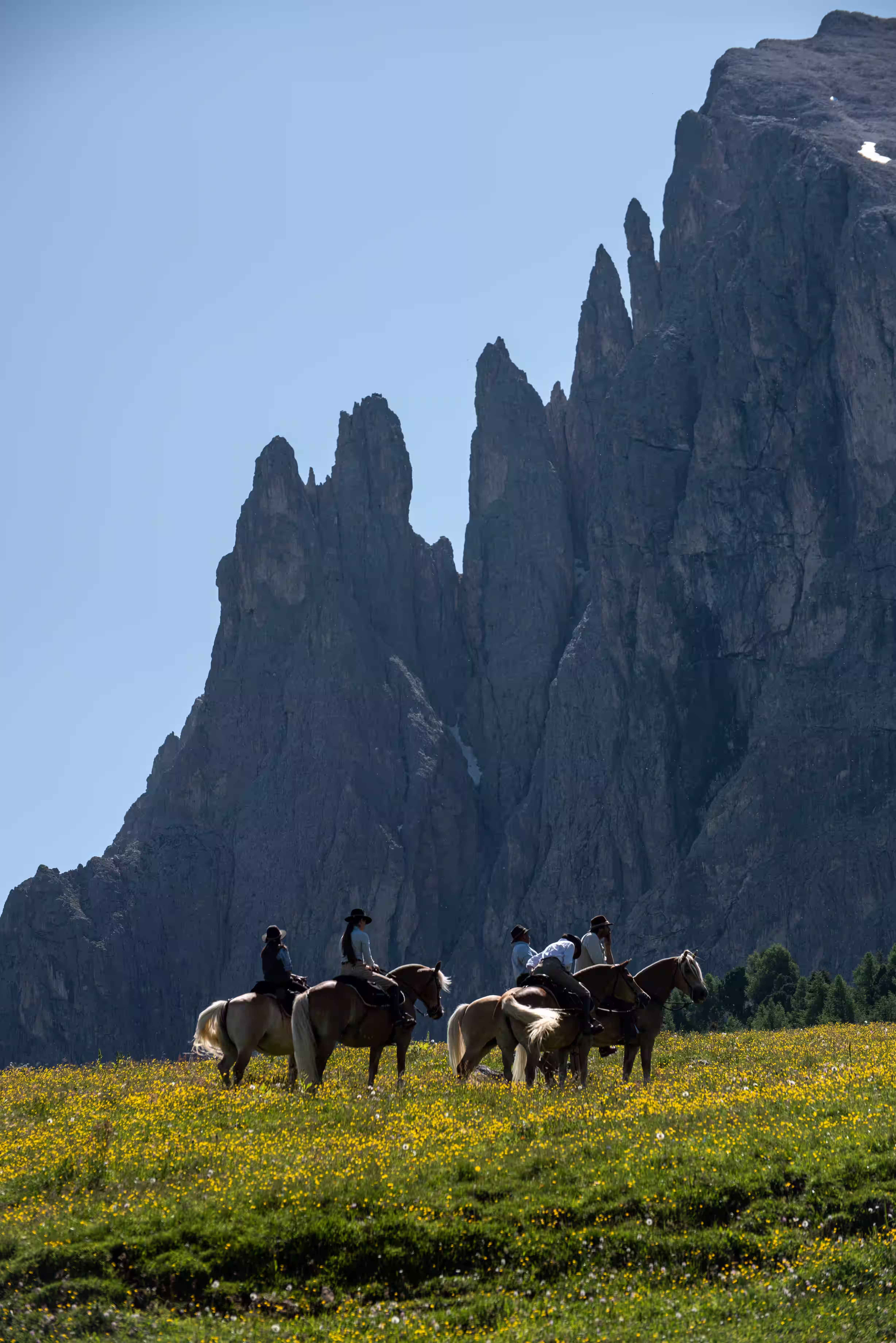 From Venice to the Dolomites