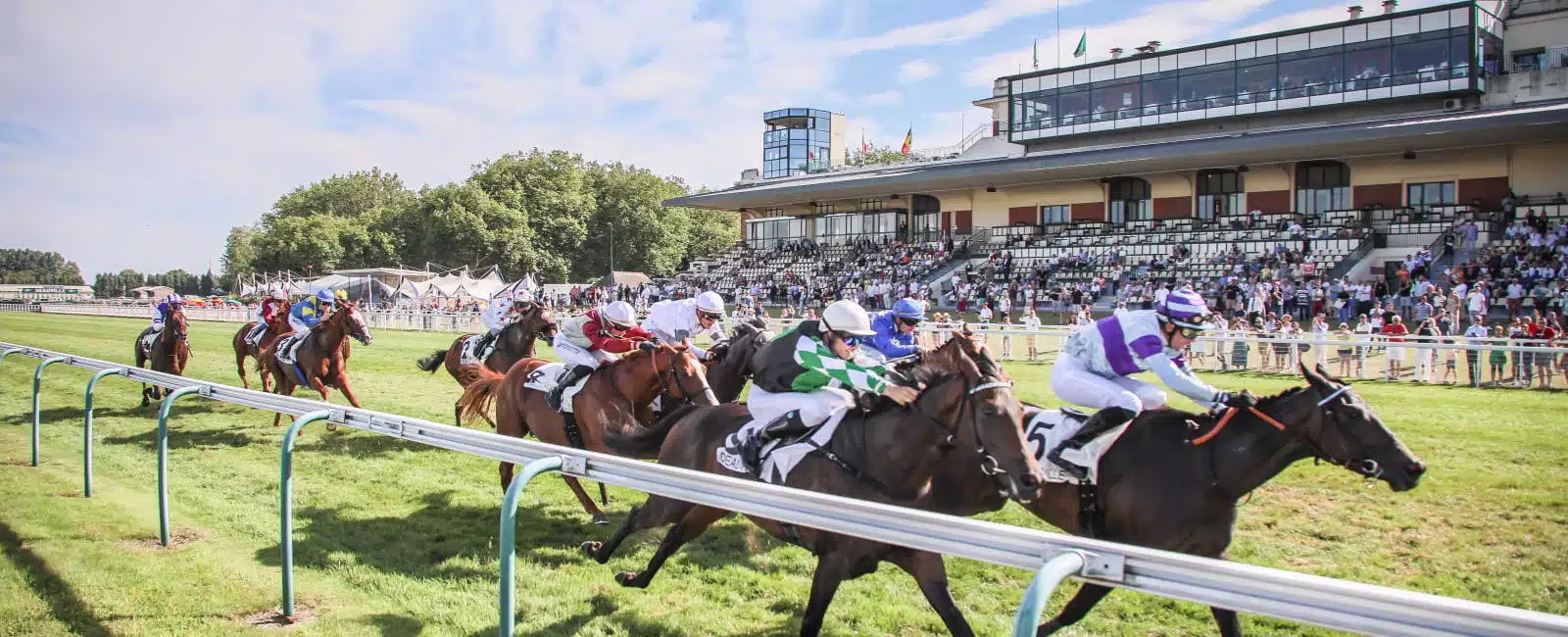Horse-racing (Seasonal)