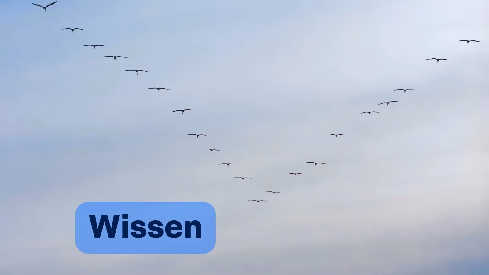 Validieren und Verifizieren im V-Modell: So gelingt die Absicherung in der Produktentwicklung