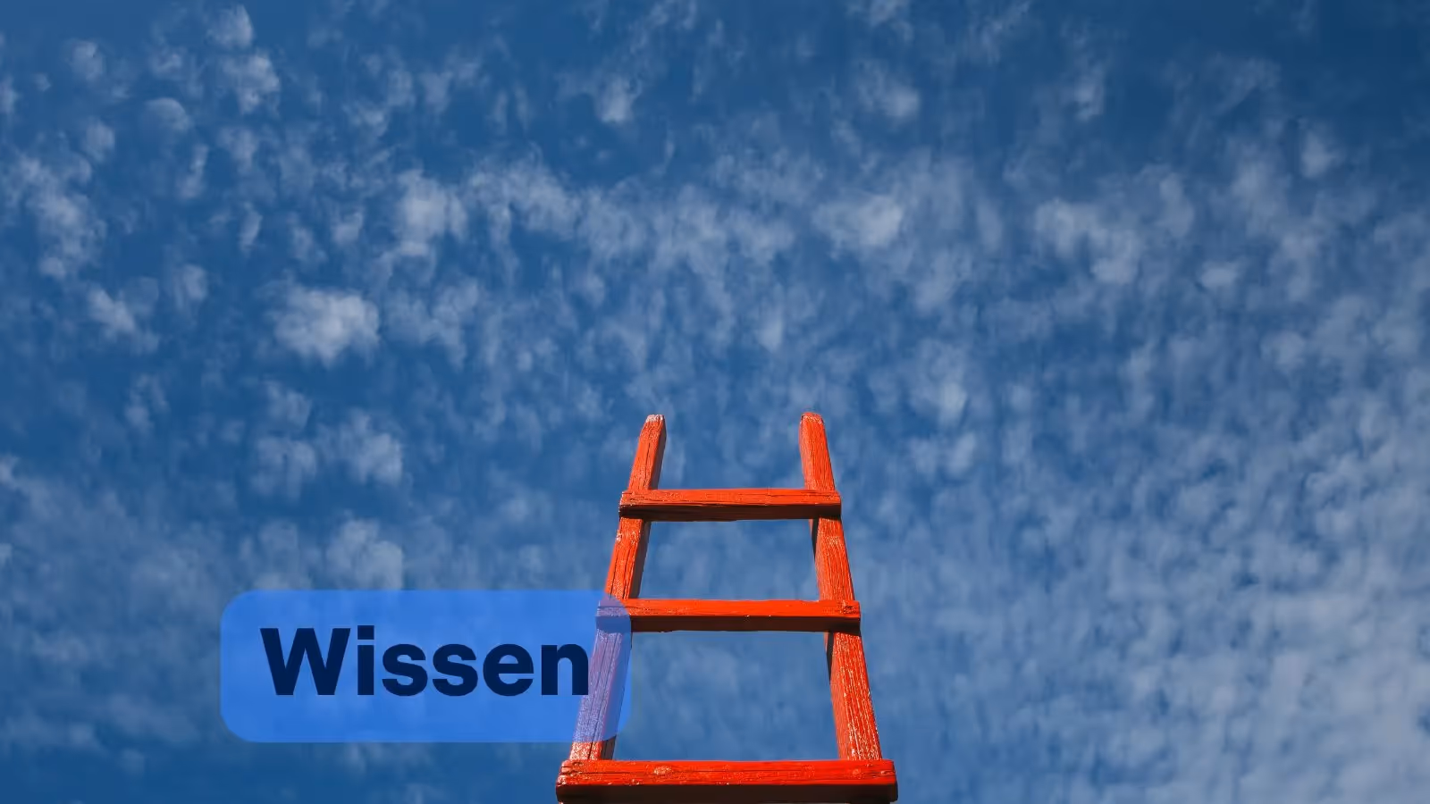 Warum Anforderungsmanagement-Tools für eine skalierbare Entwicklungsorganisation unverzichtbar sind