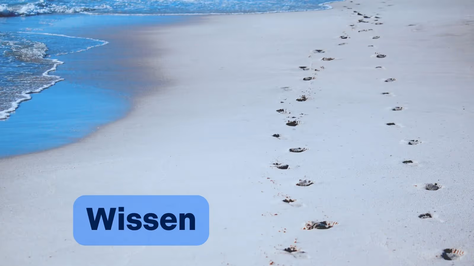 Effizientes Änderungsmanagement im Anforderungsmanagement: Mit reqSuite® rm Projekte optimieren & Risiken minimieren