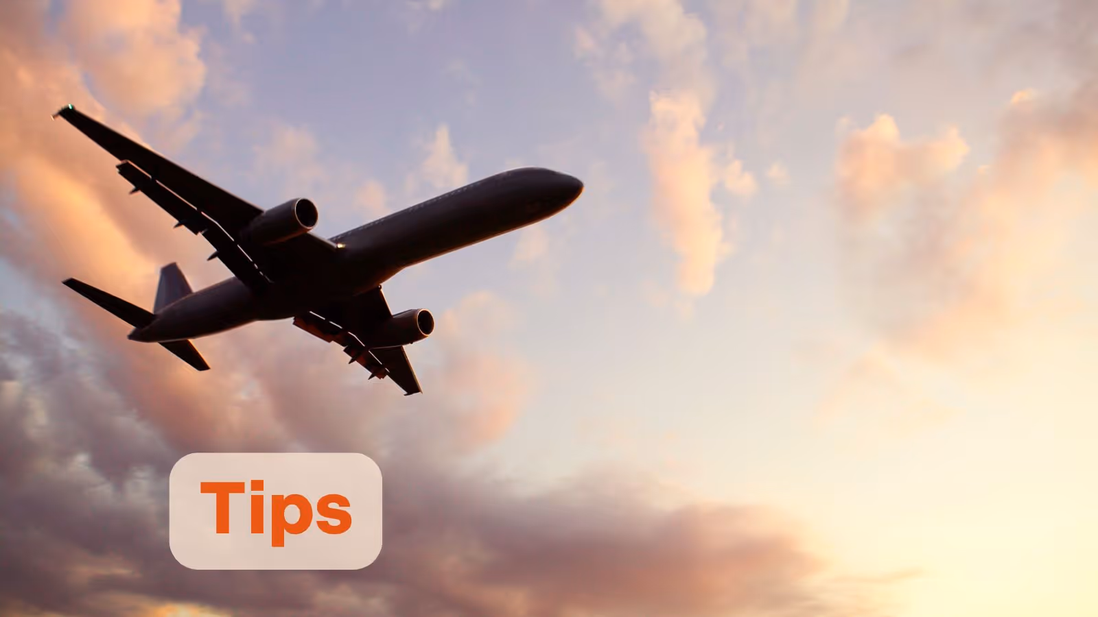 Introducing RM Software: Why a Pilot Project Is the Right Starting Point