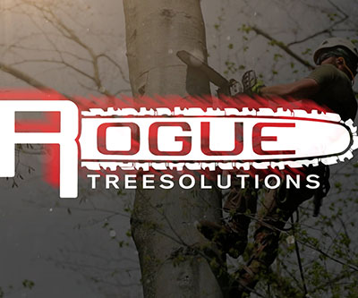 Video Production near Canton and Wooster, OH