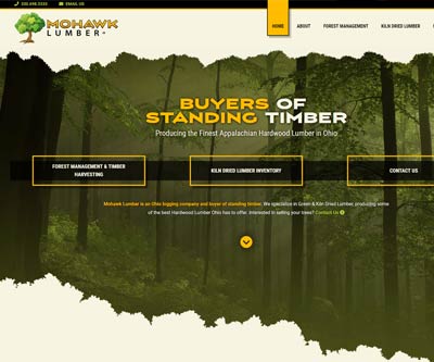 Website Design for Mohawk Lumber by Snyder Advertising - Wooster Ohio