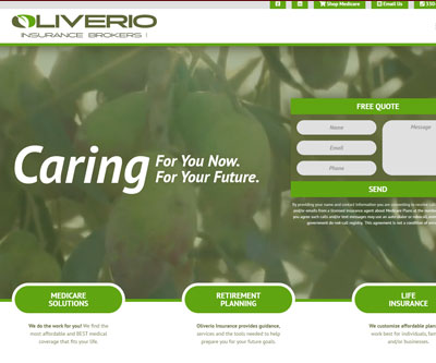 Website Design + Logo Design + Branding