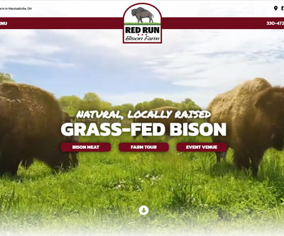 New Website Design - Snyder Advertising In Canal Fulton, OH