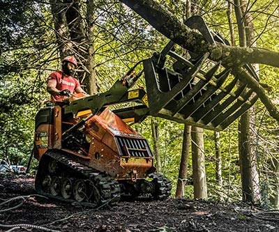 Professional Photography for Rogue Tree Solutions