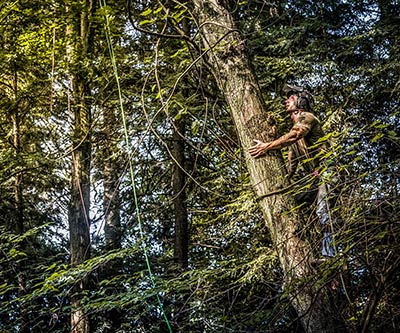 Professional Photography for Rogue Tree Solutions
