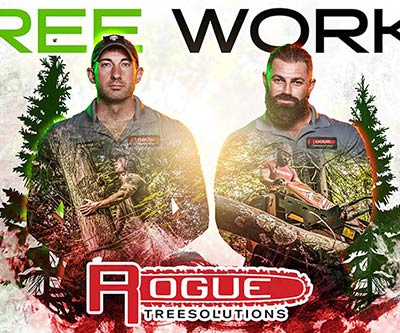 Professional Photography for Rogue Tree Solutions