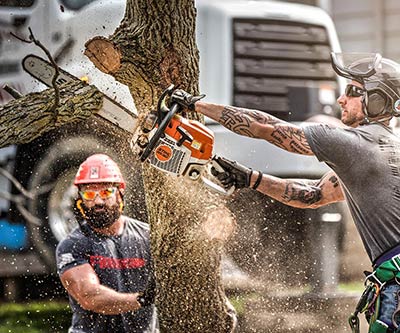 Professional Photography for Rogue Tree Solutions