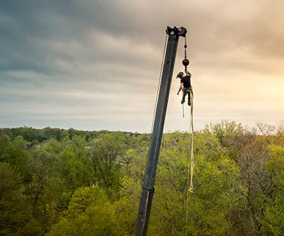 Professional Photography for Rogue Tree Solutions