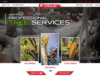 Website Design for Rogue Tree Solutions by Snyder Advertising Wooster, Ohio