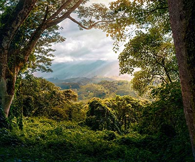 Travel Photography
