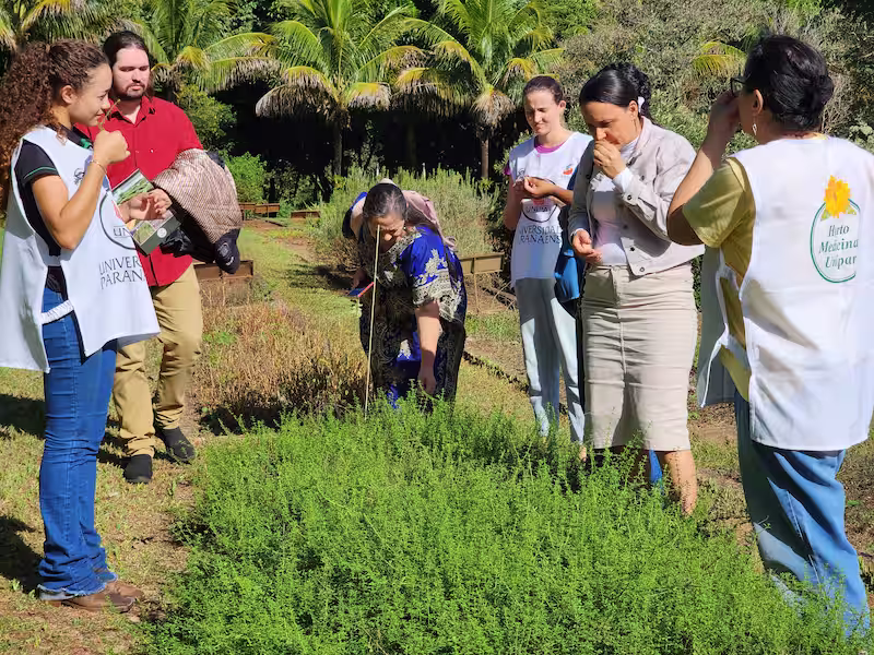 Equipe da prefeitura de Loanda visita o Horto Medicinal da Unipar