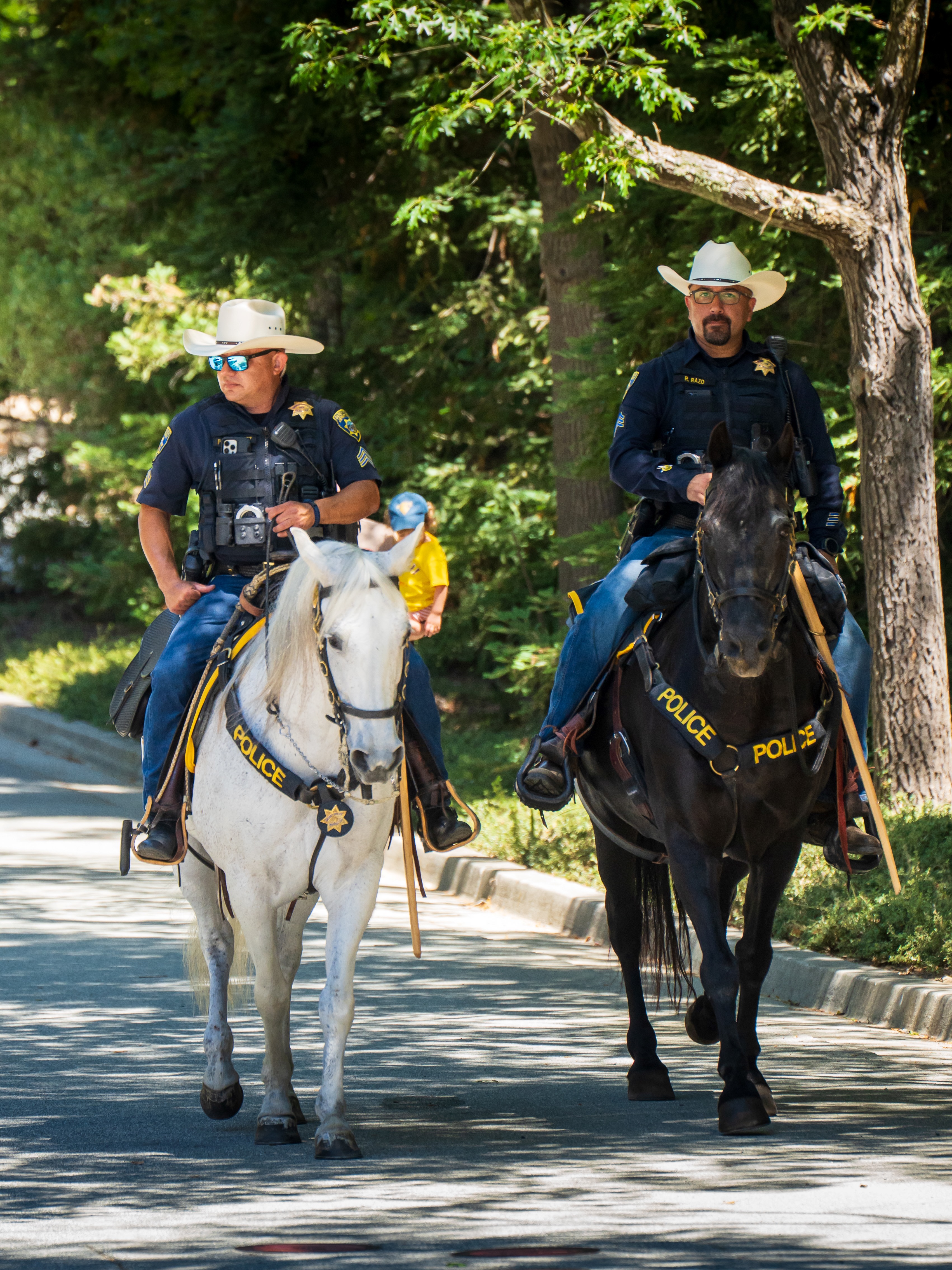 Mounted Unit
