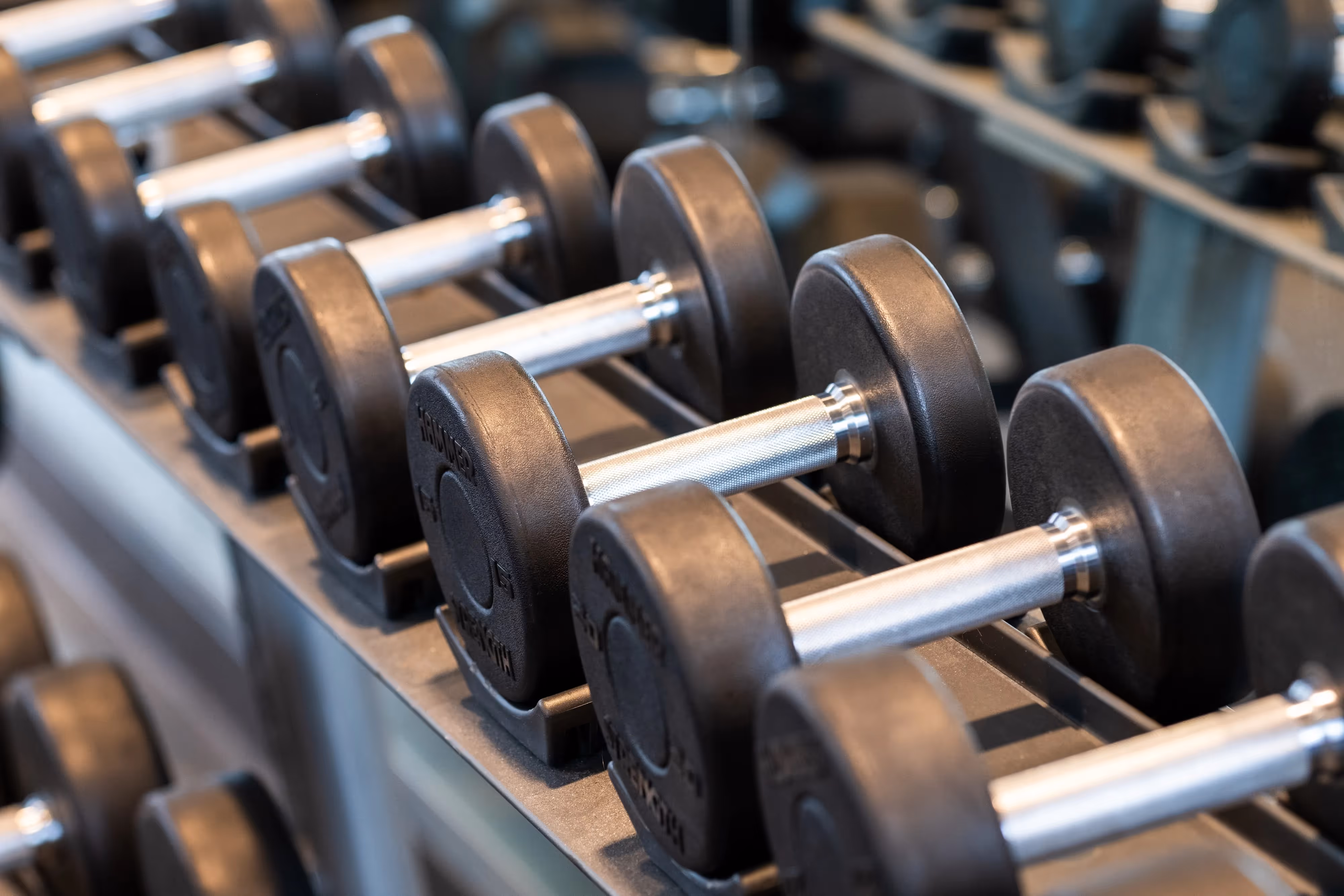 Close-up of a rack of various dumbbells in a modern fitness center, indicating gym amenities available at Crossing at 9th in Salt Lake City, Utah.