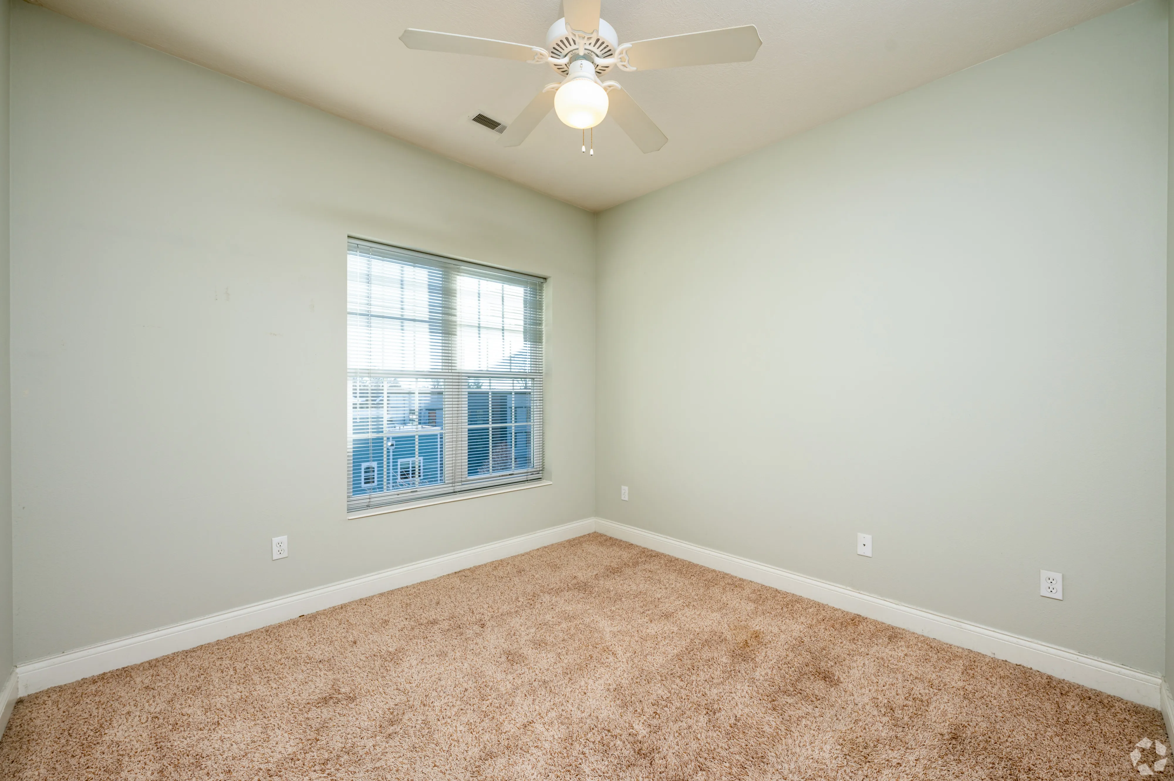 Spacious bedroom at 7 Ten featuring neutral plush carpeting, light green walls, a ceiling fan, and a large window.