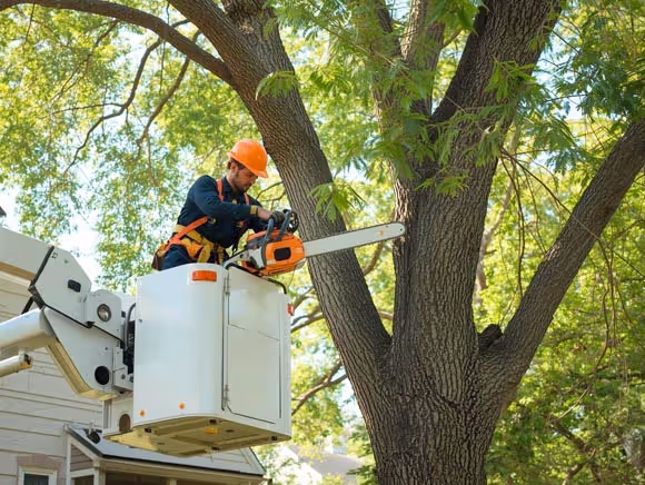 Tree trimming worker using chainsaw is missing a call and realizes he needs an ai phone assistant