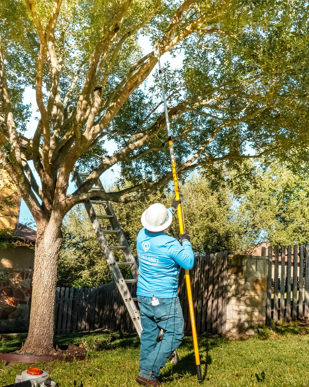 tree scouts tree service performing tree care at a residential property in georgetown texas