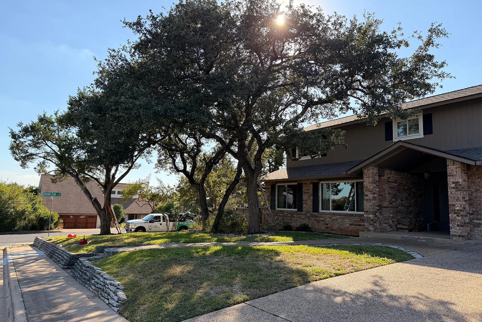 Tree trimming in Leander Texas by Tree Scouts
