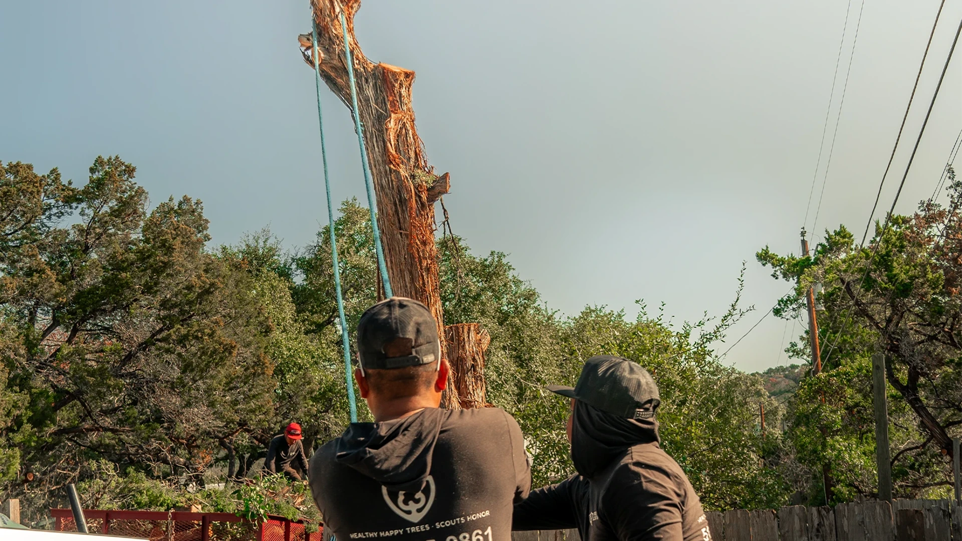 Austin, TX tree removal permit 