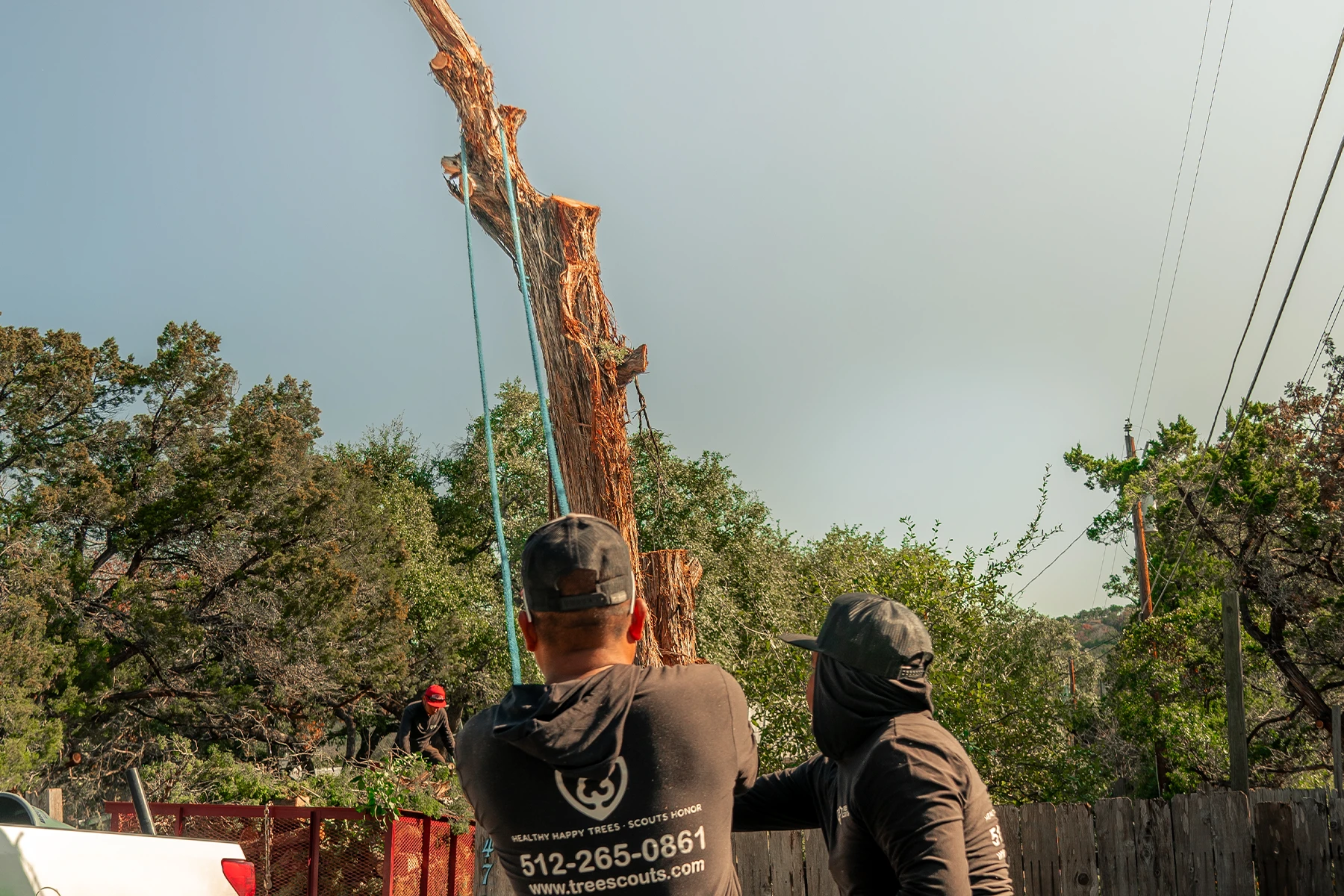 Tree removal permit requirements in Austin, TX