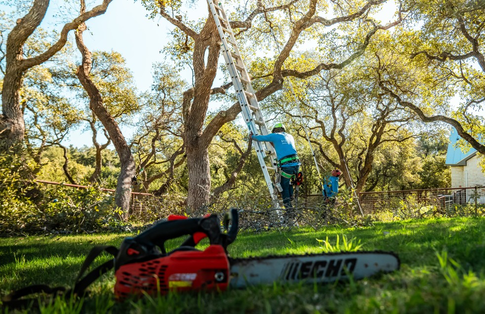 Lakeway, TX tree trimming 
