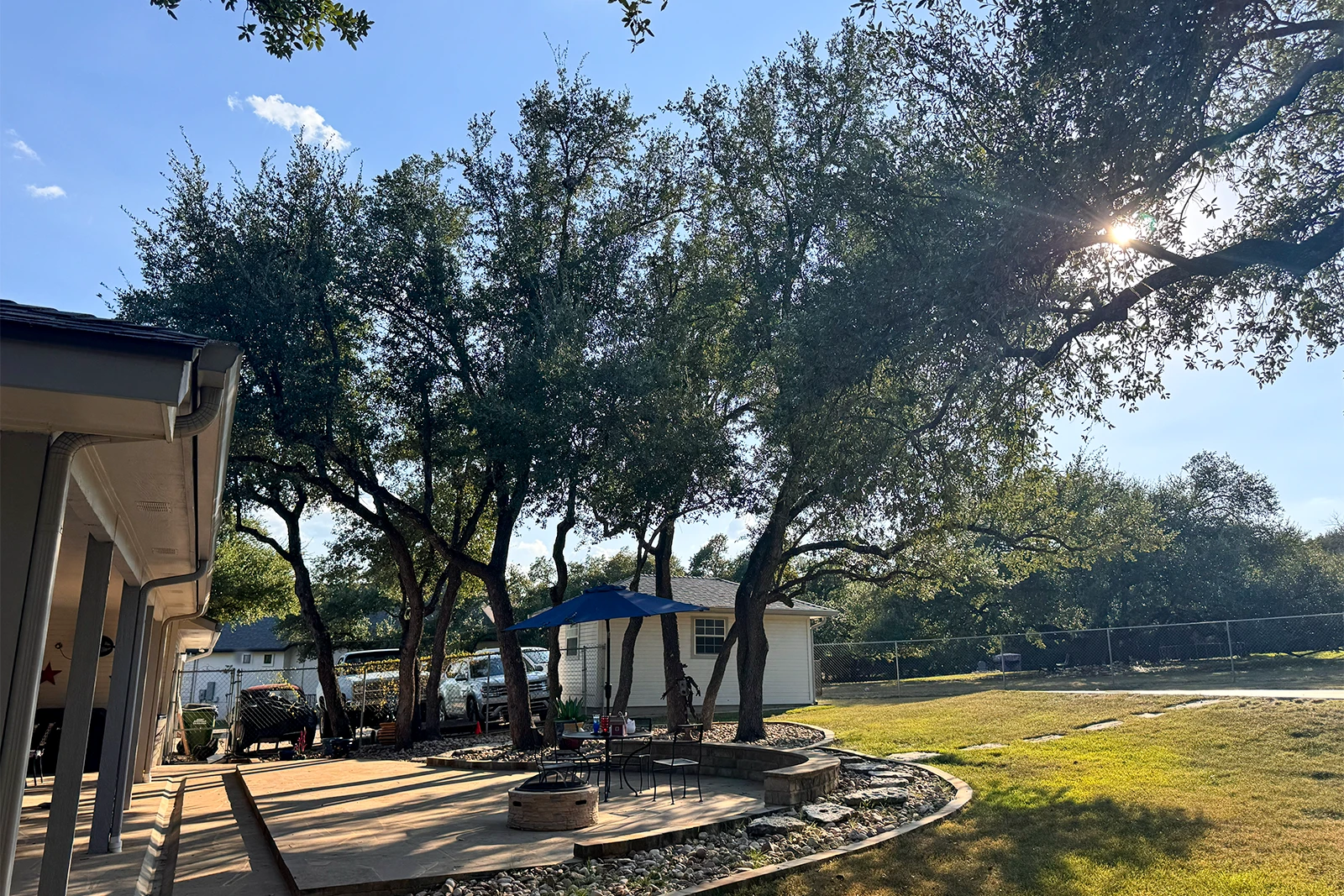 Raising canopies of live oak trees in round rock texas