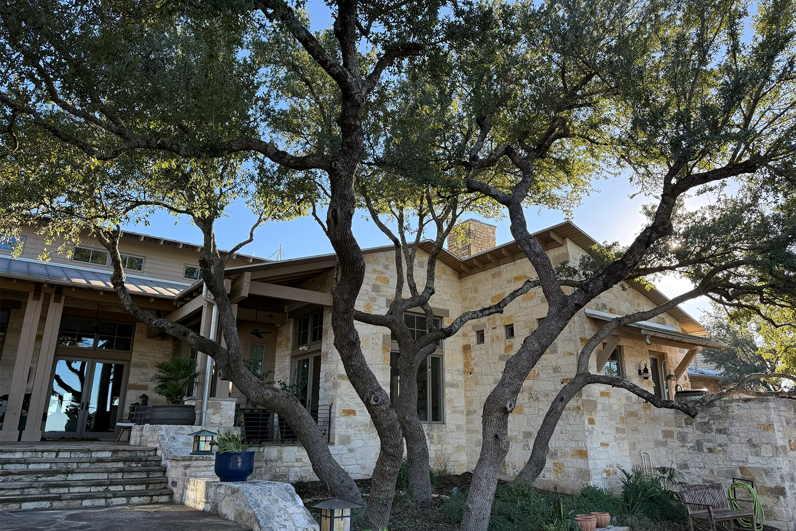 live oak tree trimming in lakeway texas