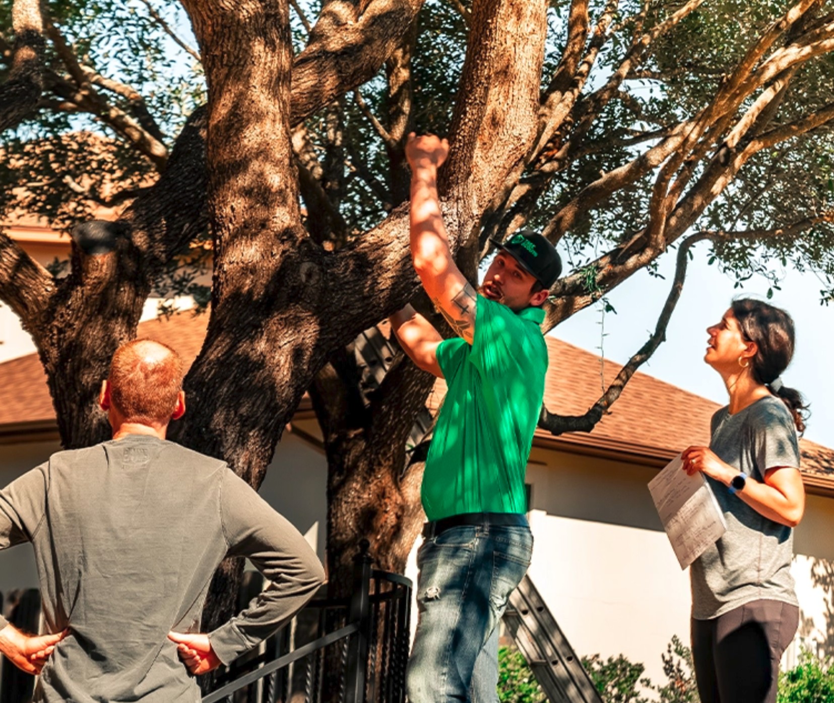 Professional Arborjet micro injection system used for oak wilt treatment by an ISA Certified Arborist