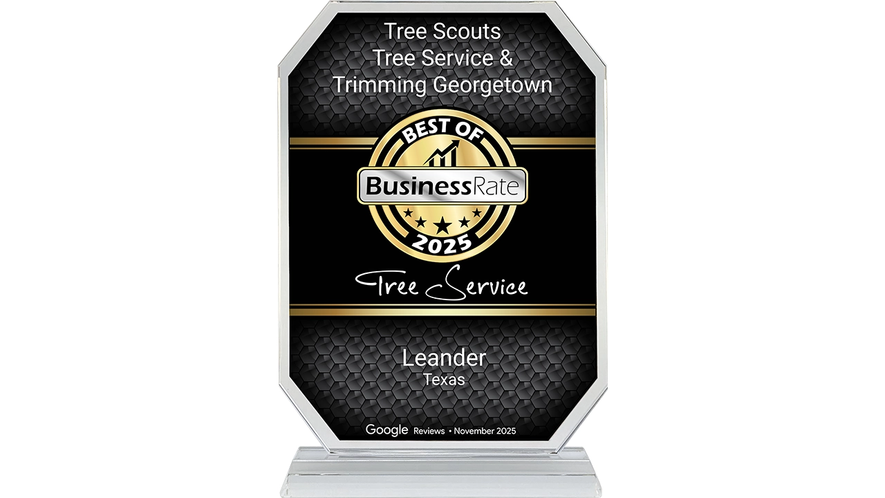 Tree Scouts Tree Service awarded Best Tree Service in Leander TX for 2025 by Better Business Rate
