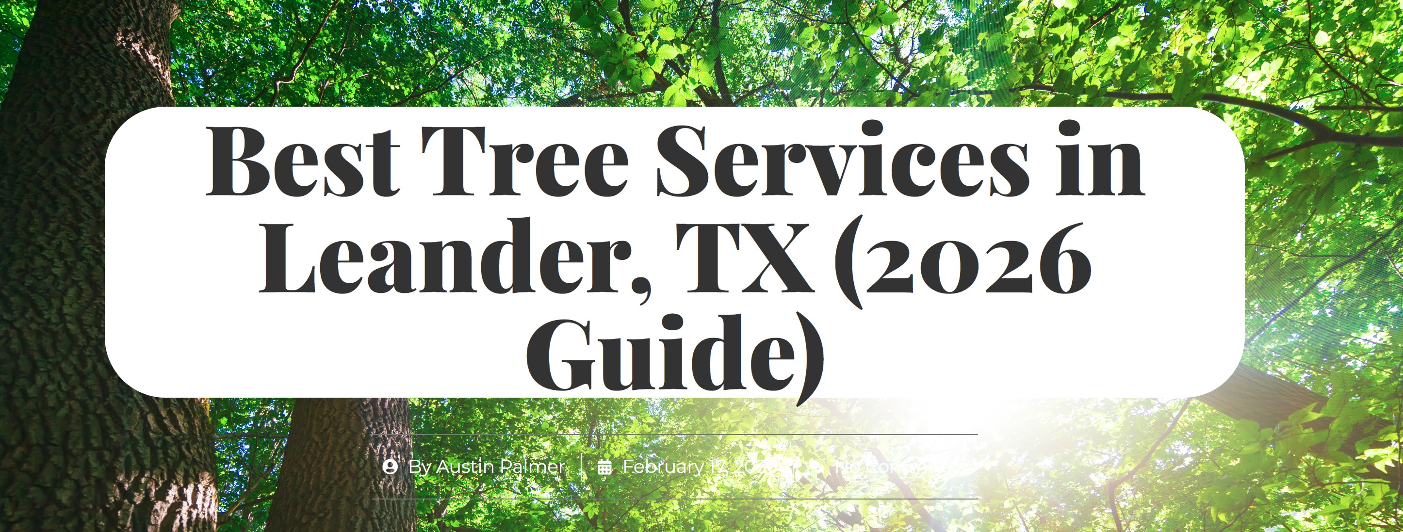 Best tree services leander 2026