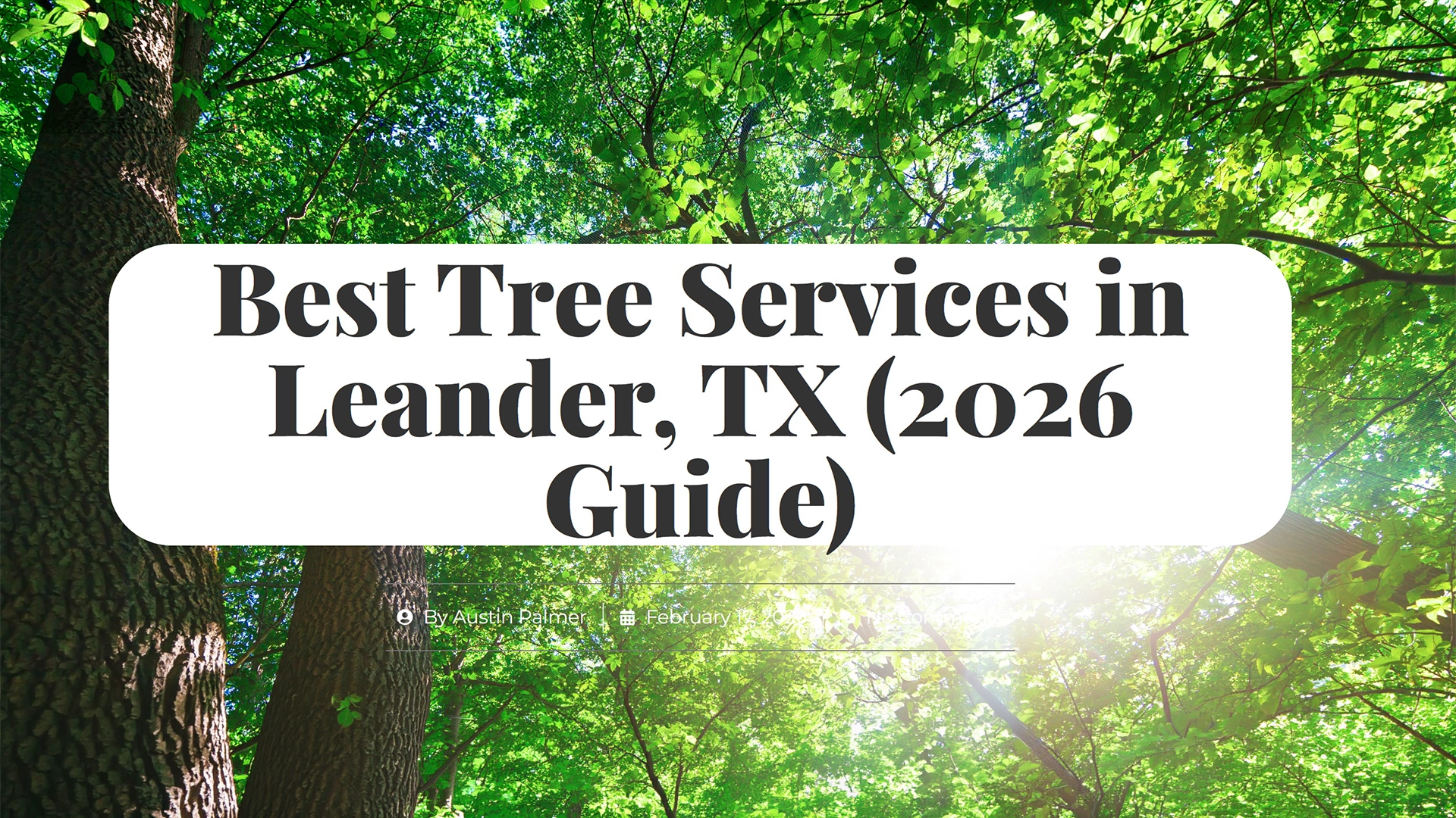 Image of the caption - best tree services in Leander 2026