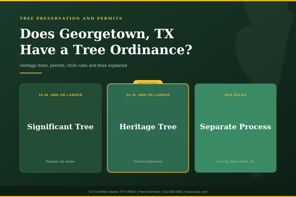 Georgetown TX tree ordinance and heritage tree protection guide