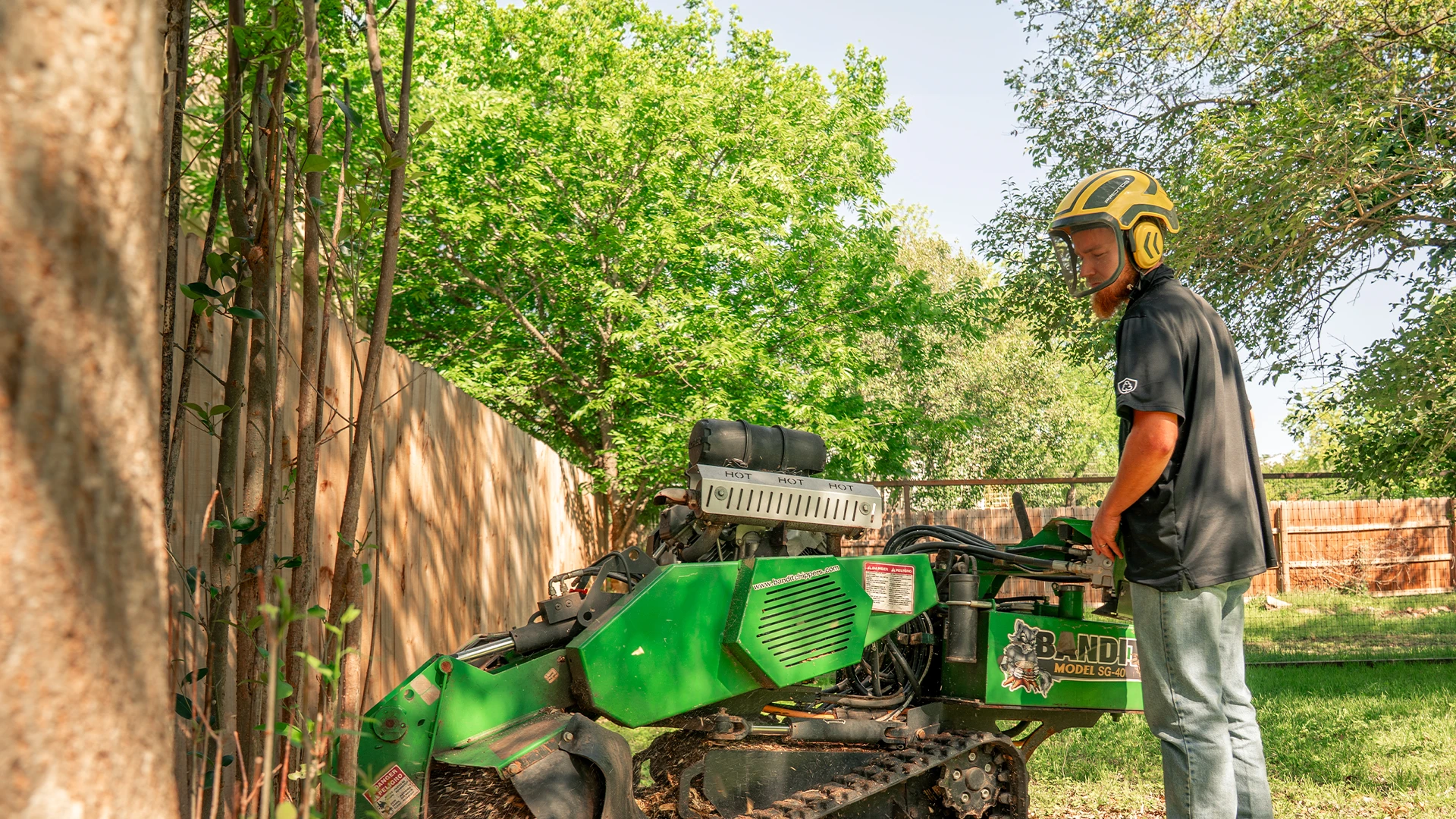 How much does stump grinding cost in Austin TX