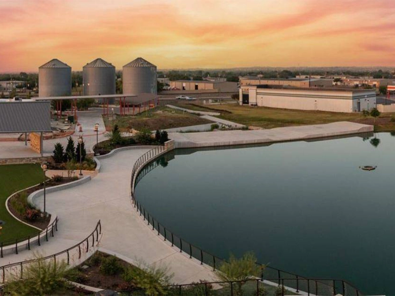 A vast field in Hutto Texas of sunflowers stretches beneath a dramatic cloud formation in a blue sky, hinting at an approaching storm.